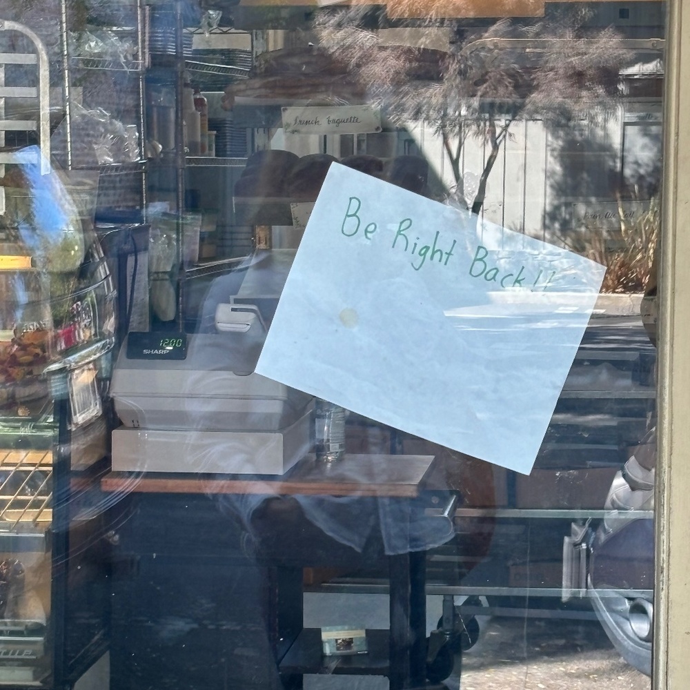 Lauren Ralph Lauren size 2X 100% silk blouse